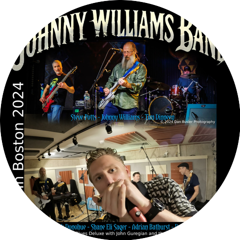 The Johnny Williams Band