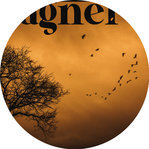 Fagner