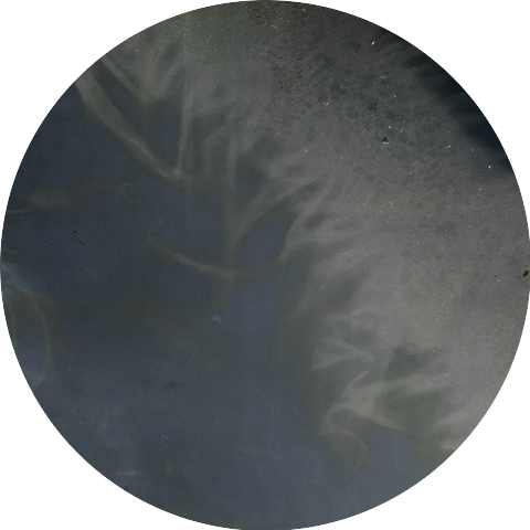 Ａ ＮＮ Ｇ Ｅ Ｌ Ｓ Ｋ Ｙ