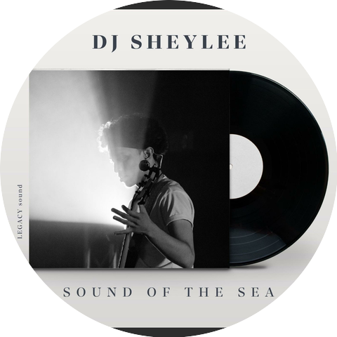 DJ Sheylee