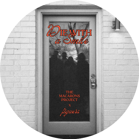 The Macarons Project, figuers