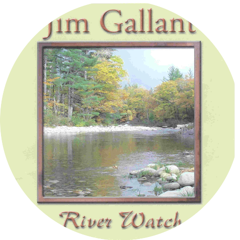 Jim Gallant