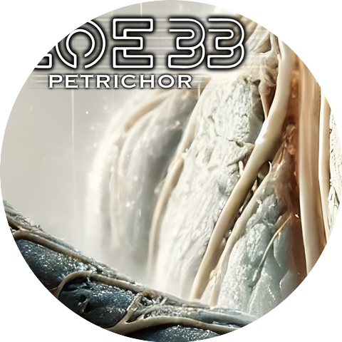 COE 33