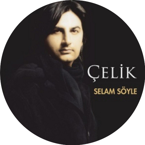 Çelik Erişçi