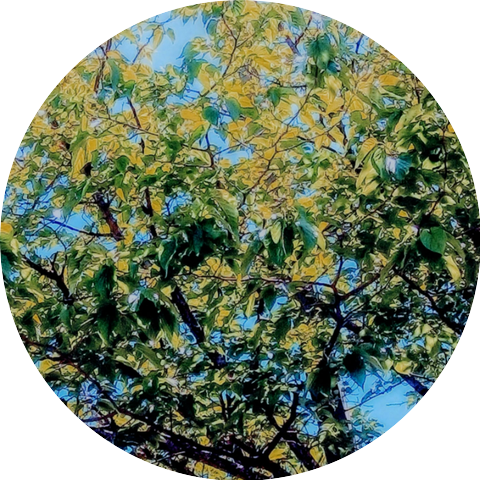 Unknown Project