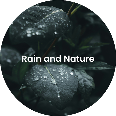 Nature Field Recordings, Natural Sound Selections, Relaxing Nature Sounds Collection