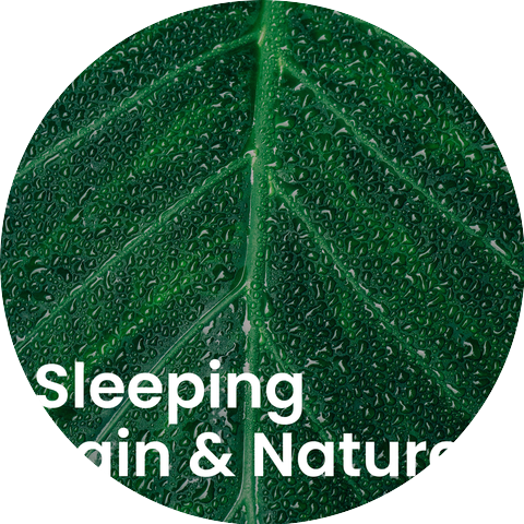 Nature Sound Collection, Natural Sounds, Forest Sounds