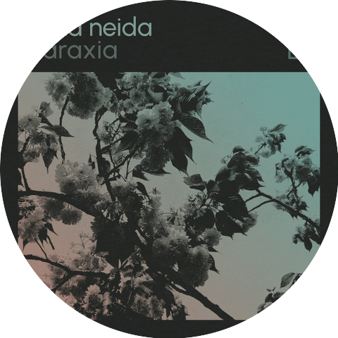 Ruona Neida