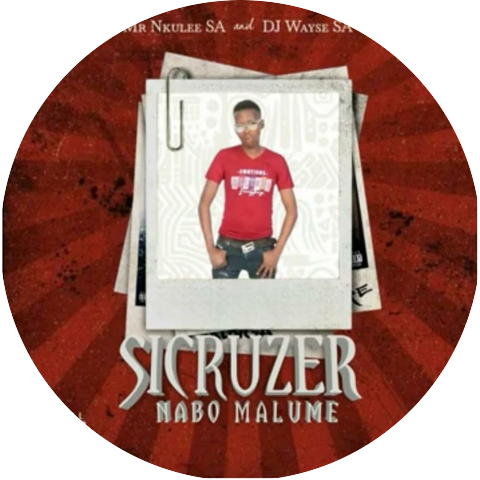 Dj Wayse SA