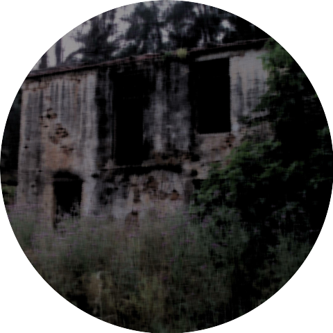 psychiomega