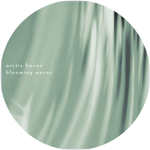 Blooming Waves