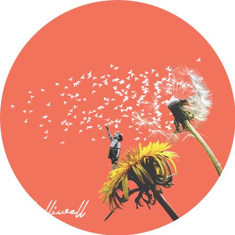Holliwell