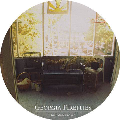 Georgia Fireflies