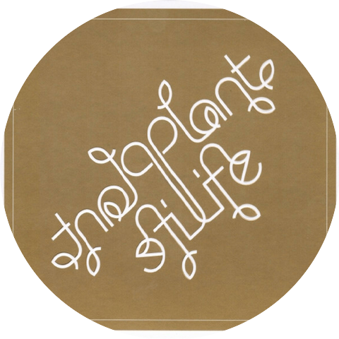 Jack Splash & Plantlife