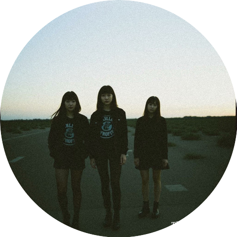 the Wulongs