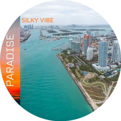 Silky Vibe