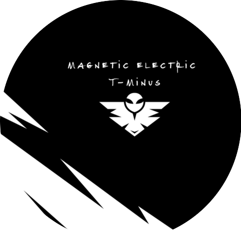 Magnetic Electric