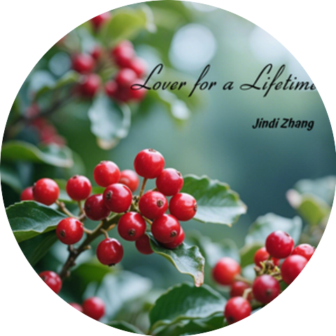 Jindi Zhang
