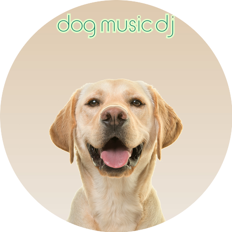 Dog Music DJ