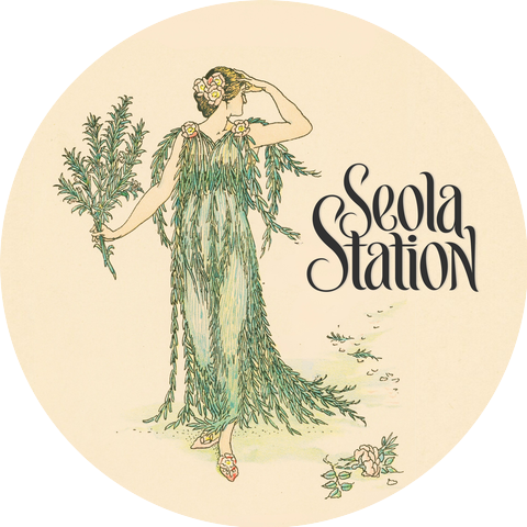 Seola Station
