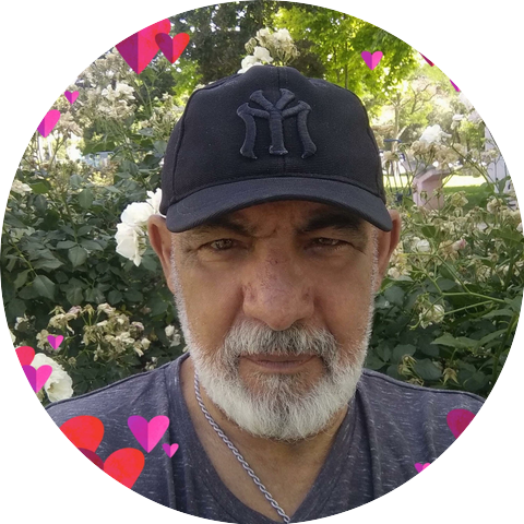 סולן להקת קזבלנקה מומי עמר Momi Amar