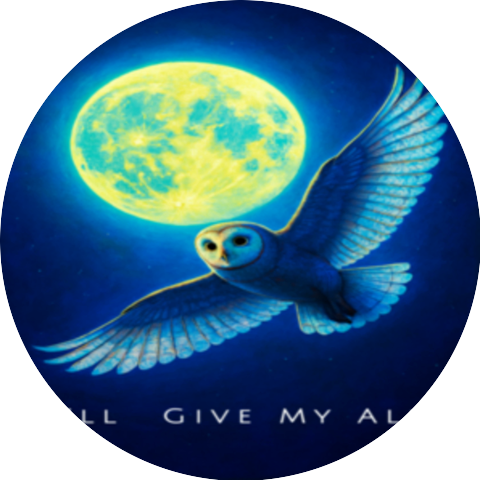 FLY INTERNATIONAL MUSIC