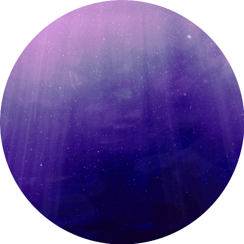 퍼플로드 Purple Road