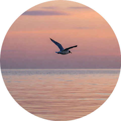 Mystic Sound of Meditation