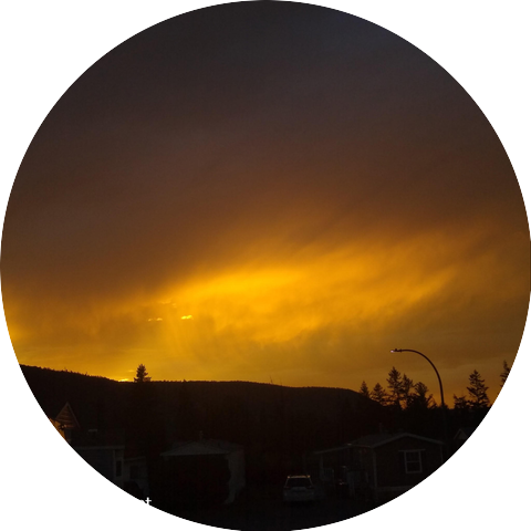 Journey Carlson-Campbell