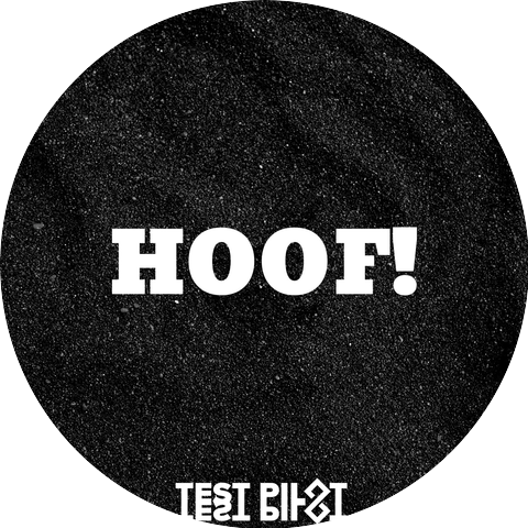 Test Pilot