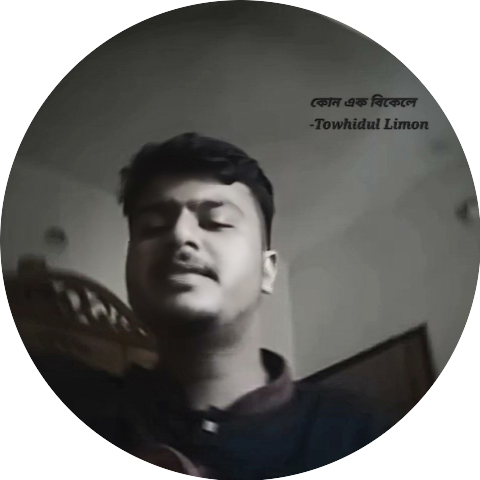 Towhidul Islam Limon
