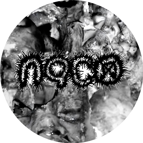 Naco Noise