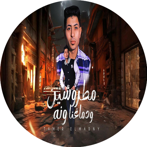 Tamer Madny