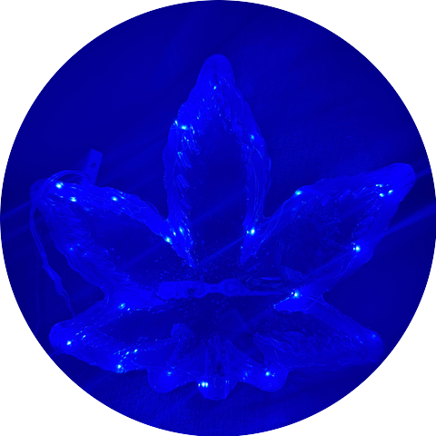 D-Té Shine