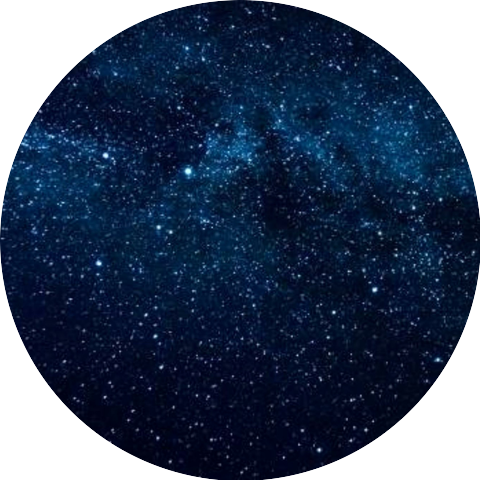 Musical Vines Studio