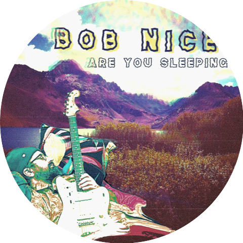 Bob Nice