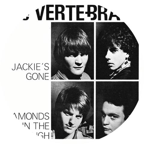 The Vertebrats