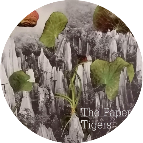 The Paper Tigers