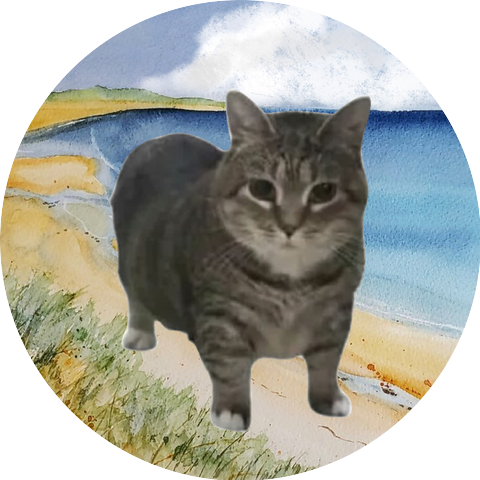 Oiia Cat