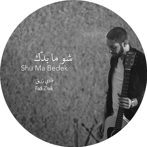 Fadi Zreik