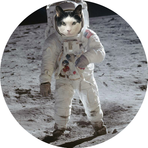 Lunar Cat