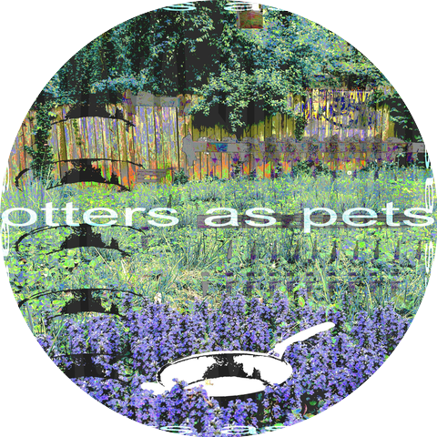 otters as pets