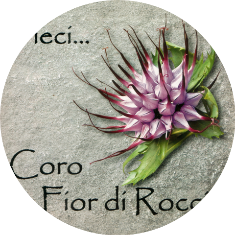 Coro Fior di Roccia