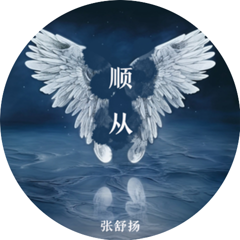张舒扬