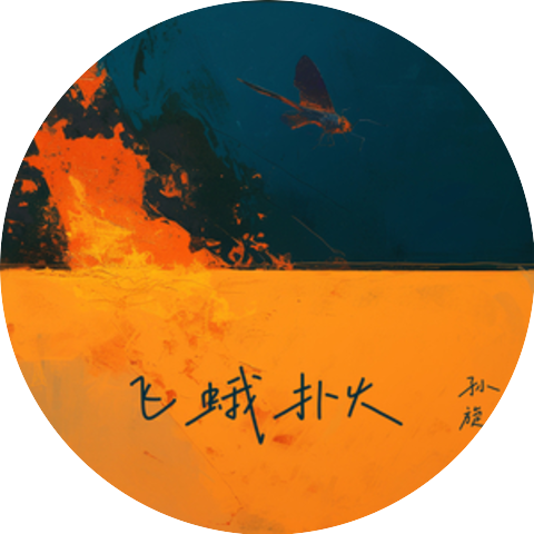 孙旋
