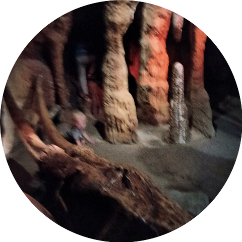 Felicitys Wonderland