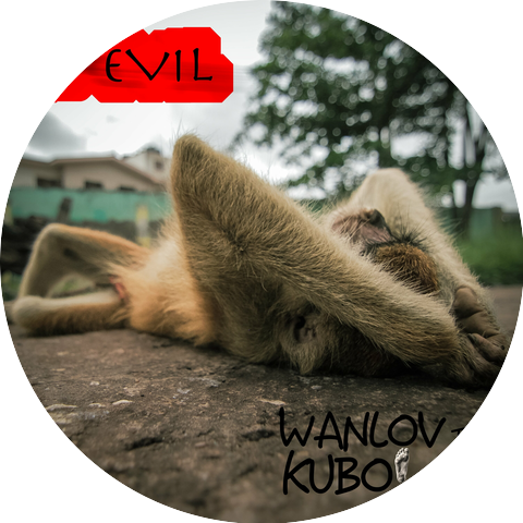 Wanlov the Kubolor