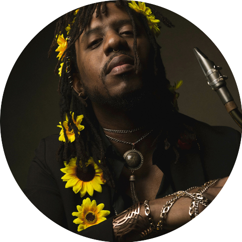 The Sunflower King