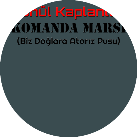 Gönül Kaplanları