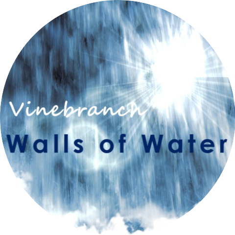 Vinebranch